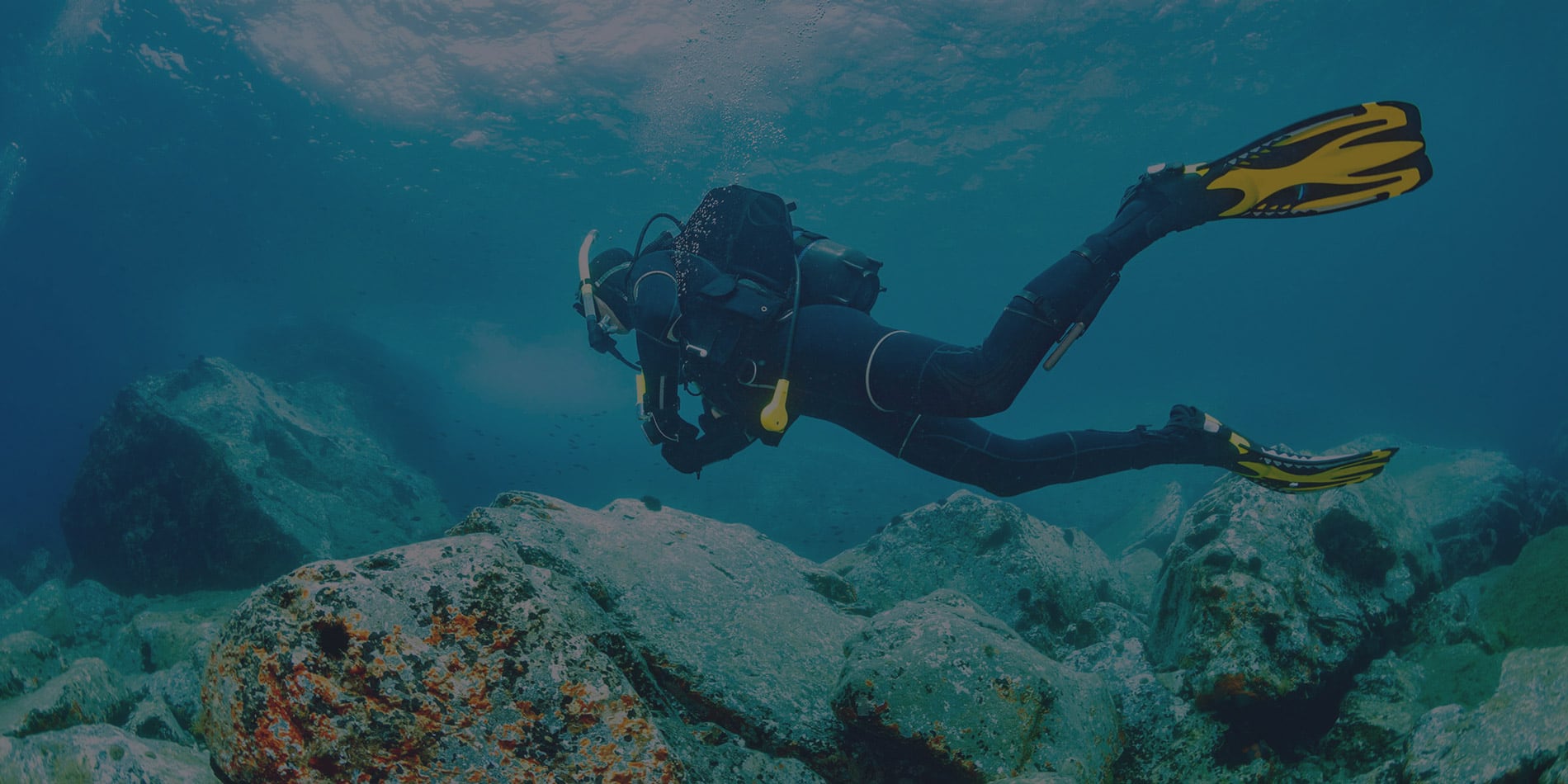 Become a Certified Scuba Diver in India - Temple Adventures